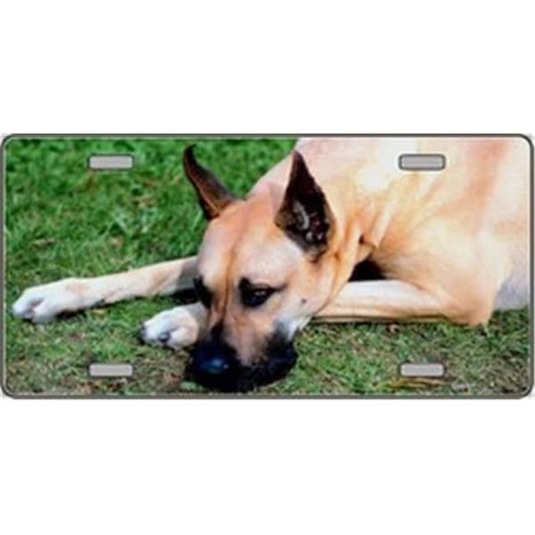 Powerhouse Great Dane Dog Pet Novelty License Plates- Full Color Photography License Plates PO516384 - main